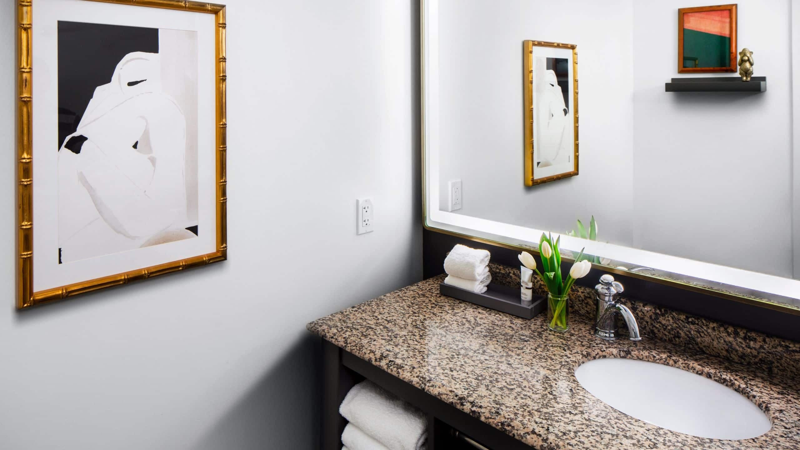 2/3 Andaz Savannah Standard Bathroom