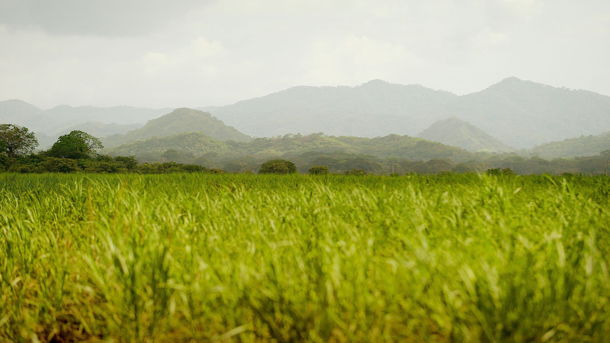 Andaz Costa Rica Resort at Peninsula Papagayo Guanacastecan Pampa